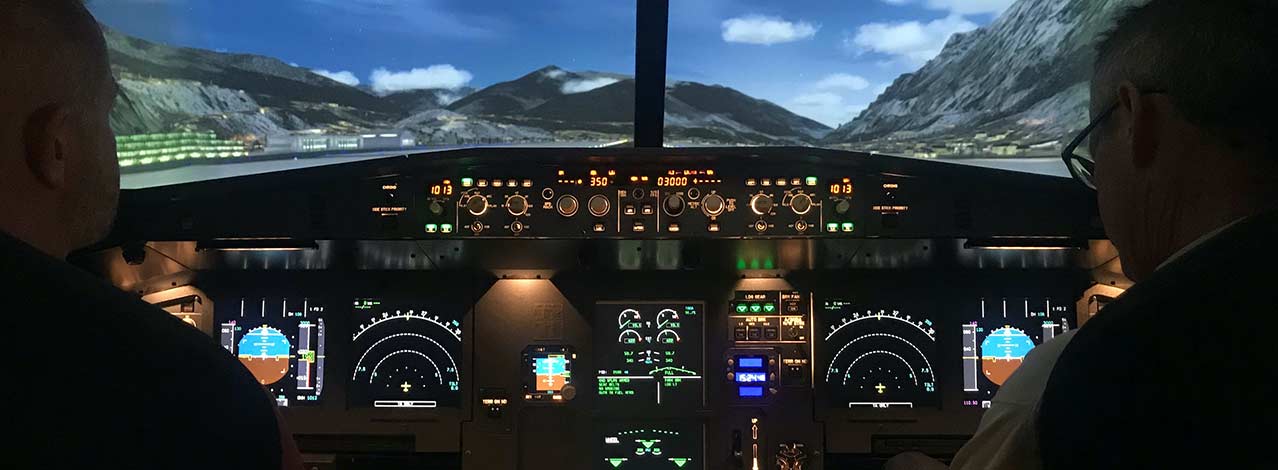 Produktbild för Flyg i flygsimulator (1/1)