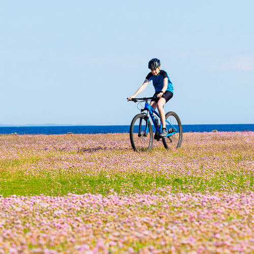 Mountainbike Safari