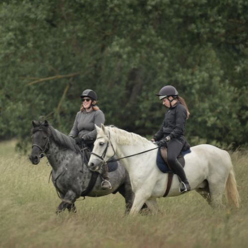 Rideweekend med tøltende heste (Sverige)