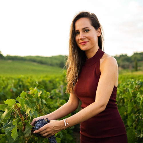 Bo på vingård i Frankrig